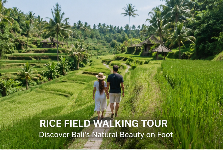 rice field walking tour nawasaktiresort